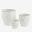 Cactus Set de 3 pots Madam Stoltz