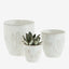 Cactus Set de 3 pots Madam Stoltz